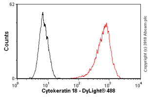 ab668-Anti-Cytokeratin 18 C-04 antibody （ab668）抗细胞角蛋白18抗体-抗体/抗原