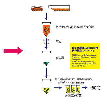 302-14681-BAMBANKER&trade; 无血清细胞冻存液重庆市干细胞技术有限公司-其他干细胞产品