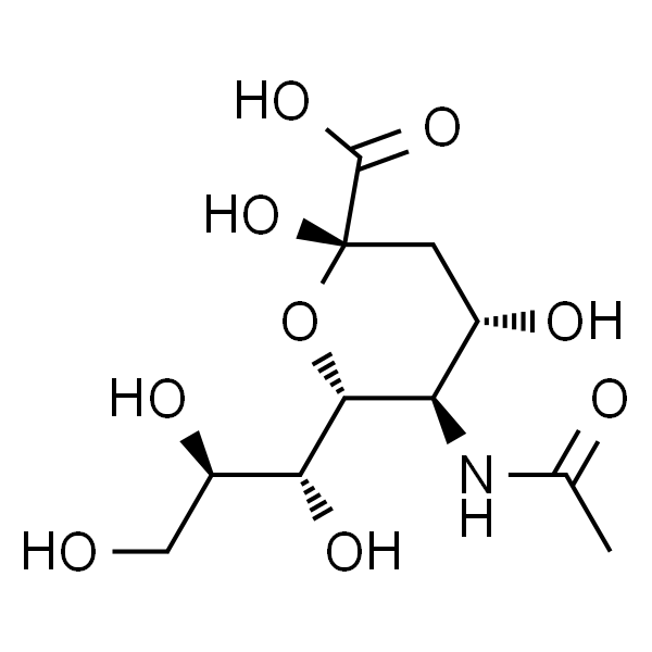 N-Acetylneuraminic acid；唾液酸