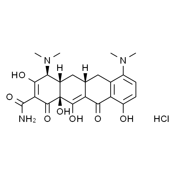 Minocycline hydrochloride；盐酸米诺环素