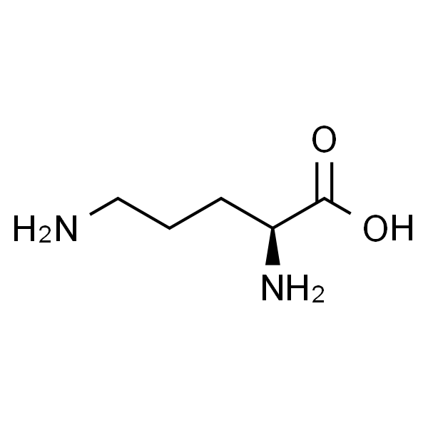 L-Ornithine  L-鸟氨酸