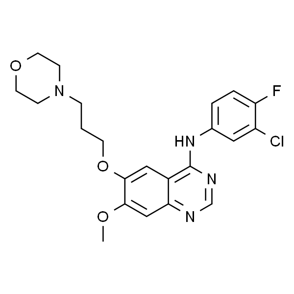 Gefitinib  吉非替尼