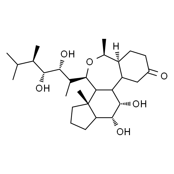 Epibrassinolide  24-表油菜素内酯