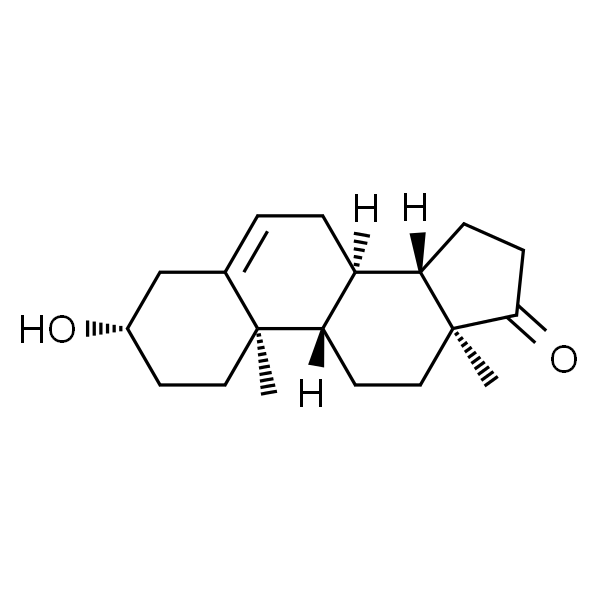 DHEA  去氢表雄酮