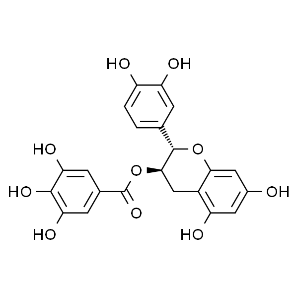 (-)-Catechin gallate  儿茶素没食子酸酯