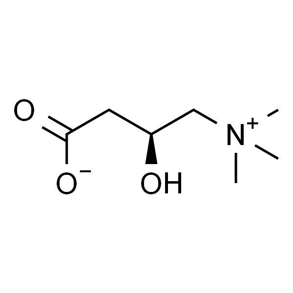 L-Carnitine  左旋肉碱