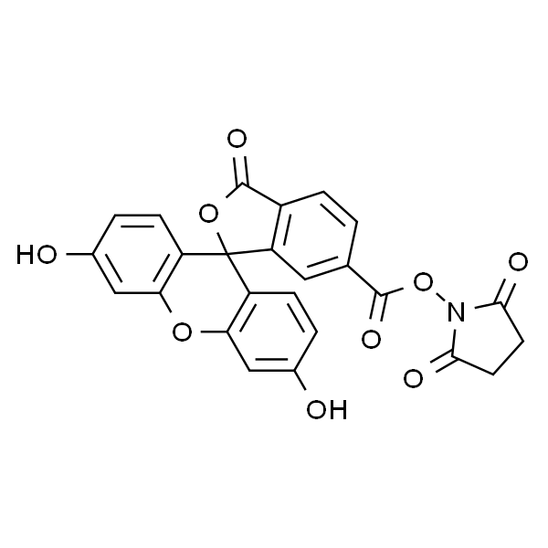 6-羧基荧光素 N-琥珀酰亚胺酯