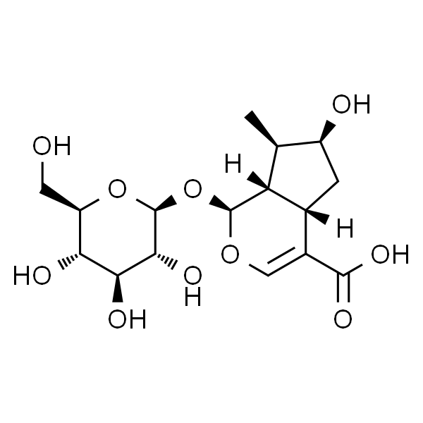 Loganic acid；马钱苷酸