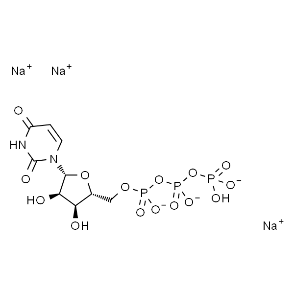 Uridine triphosphate trisodium salt；尿苷-5'-三磷酸三钠