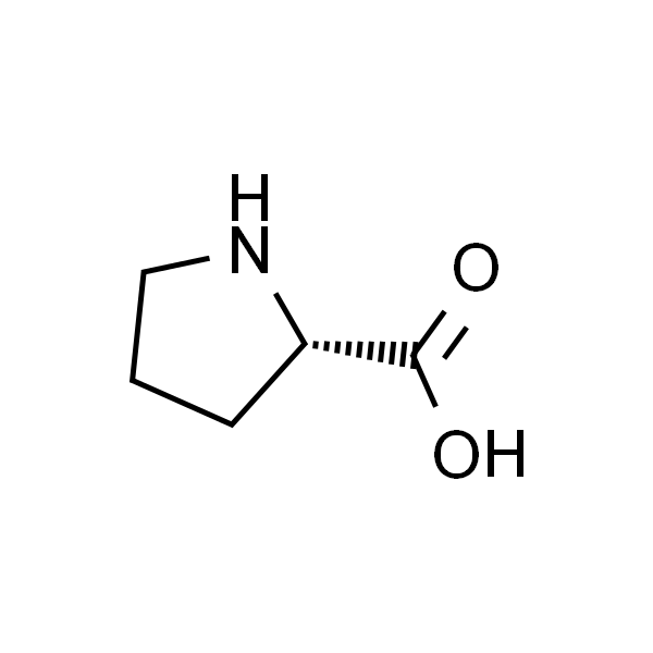 L-Proline；L-脯氨酸