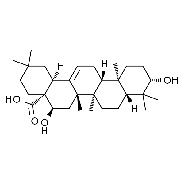 Echinocystic acid；刺囊酸
