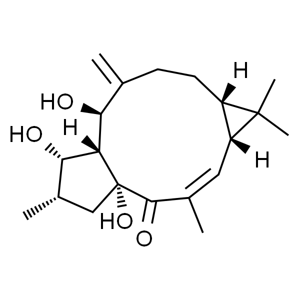 Lathyrol  千金子二萜醇 标准品