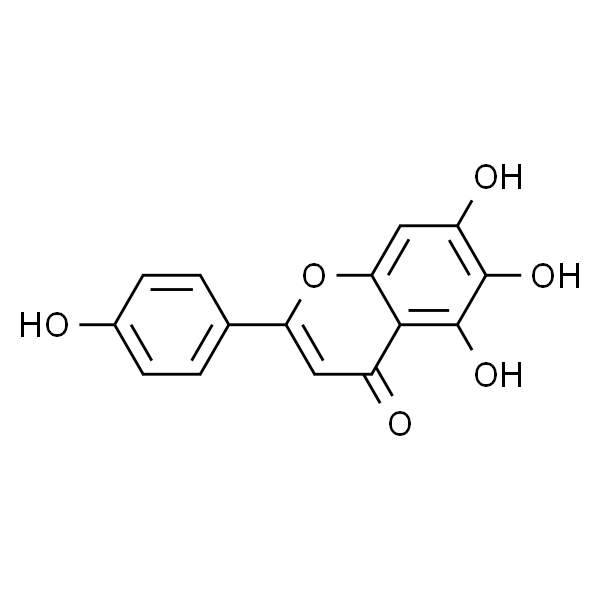 Scutellarein   野黄芩素 标准品