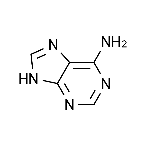 Adenine 腺嘌呤 标准品