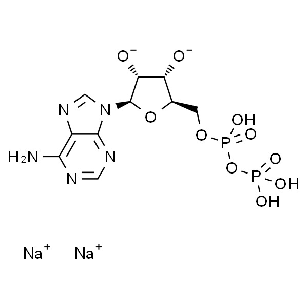 ADPNa2  二磷酸腺苷二钠 标准品