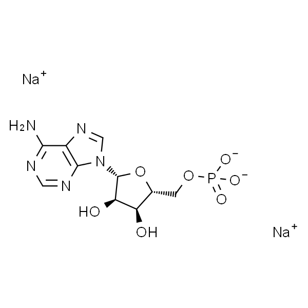 AMPNa2   5-单磷酸腺苷二钠 标准品