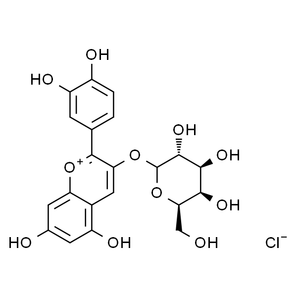 矢车菊素-3-O-半乳糖苷 标准品