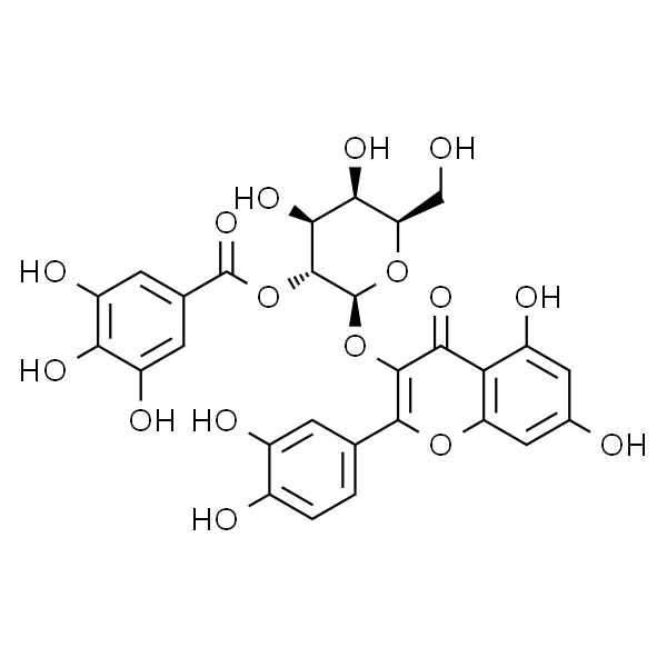 2”-O-没食子酰基金丝桃苷 标准品