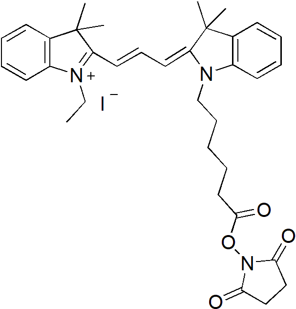 Cy3.5-E SE（Cy3.5-E 琥珀酰亚胺酯） 货号:               C5078  规格:               1 mg