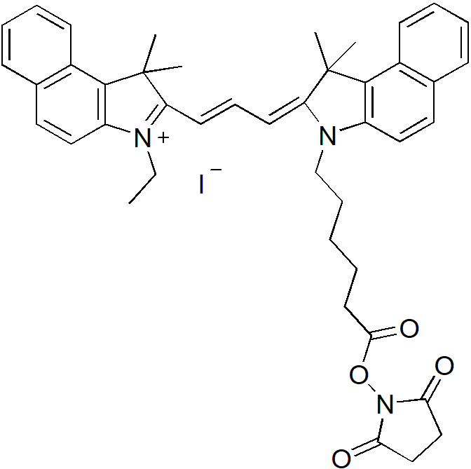 Cy3.5-E SE（Cy3.5-E 琥珀酰亚胺酯） 货号:               C5078  规格:               1 mg