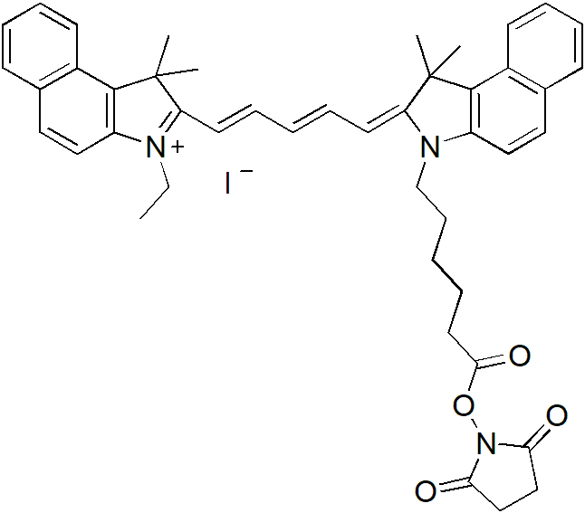 Cy3.5-E SE（Cy3.5-E 琥珀酰亚胺酯） 货号:               C5078  规格:               1 mg