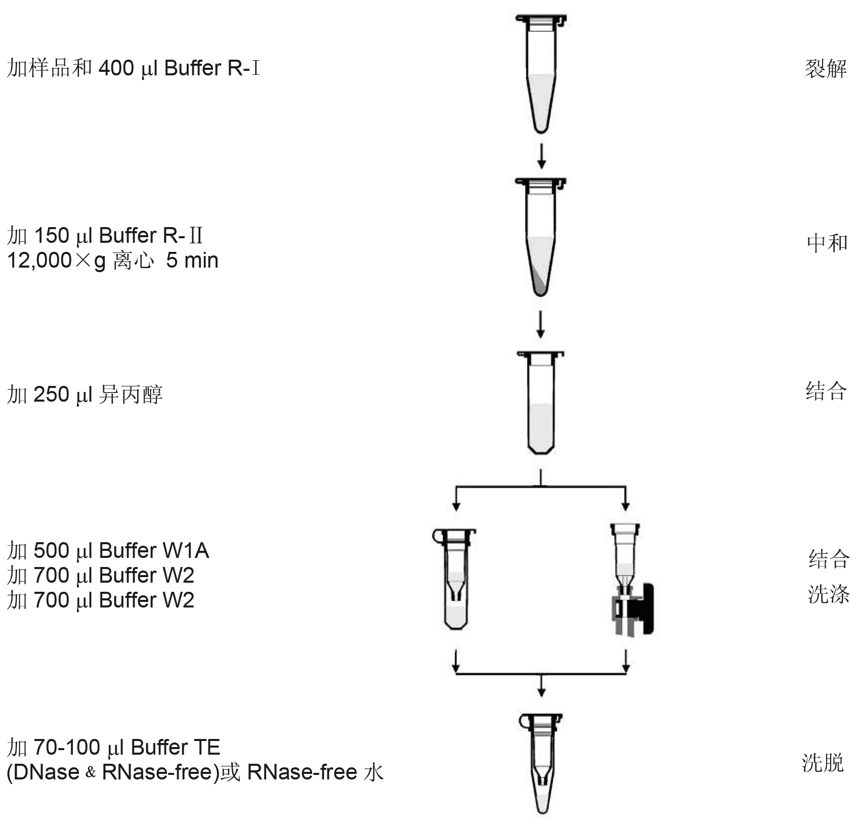 UE总RNA小量制备试剂盒 货号:               UE-MN-MS-RNA-50/UE-MN-MS-RNA-250  规格:               50T/250T