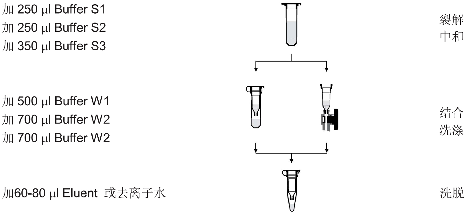 UE质粒小量制备试剂盒 货号:               UE-MN-P-50/UE-MN-P-250/UE-MN-P-500  规格:               50T/250T/500T