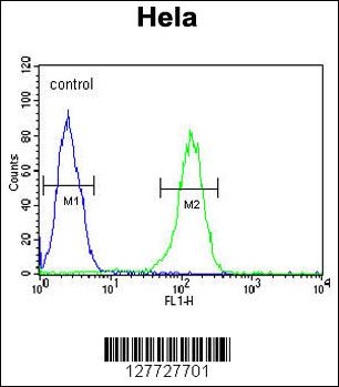 Rabbit anti-TMEM214 Polyclonal Antibody(N-term)