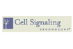 Cell Signaling(CST)产品目录2022年 少量现货，价格优惠-CST