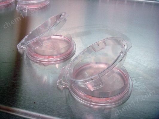 SHellDisH 9020-C贝壳型培养皿（10个）培养皿-Wako富士胶片和光