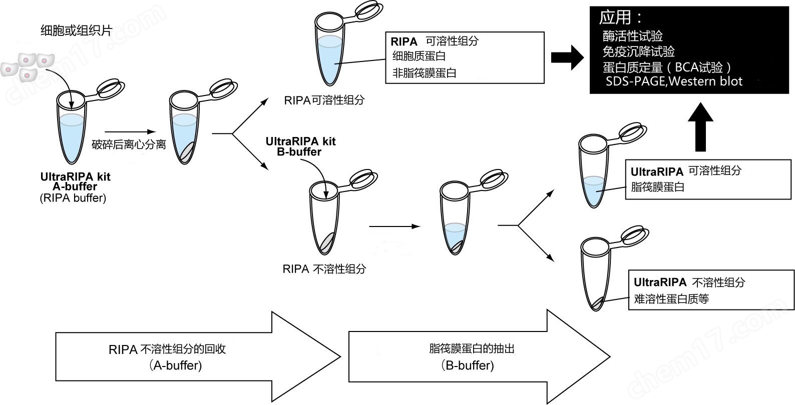 UltraRIPA 脂筏提取缓冲液套装蛋白研究-wako富士胶片和光