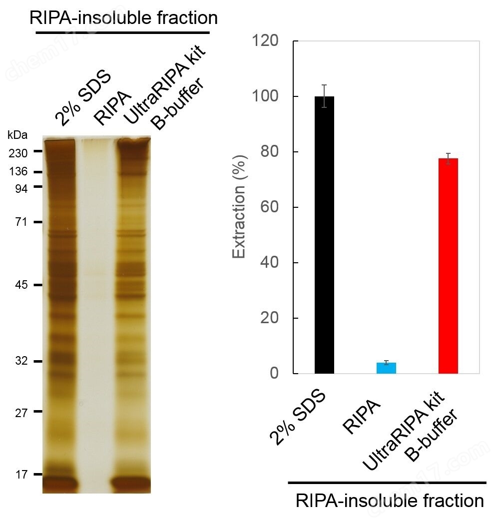 UltraRIPA 脂筏提取缓冲液套装蛋白研究-wako富士胶片和光