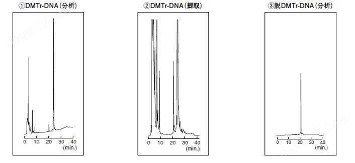 低聚核苷酸分析提取色谱柱色谱柱-Wako富士胶片和光