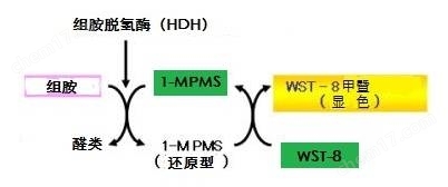 显色法检测组胺试剂盒食品分析-Wako富士胶片和光