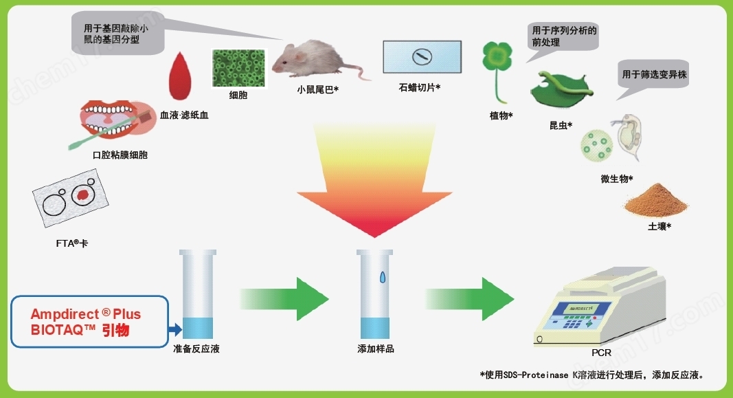 新型PCR 扩增缓冲液缓冲液-Wako富士胶片和光