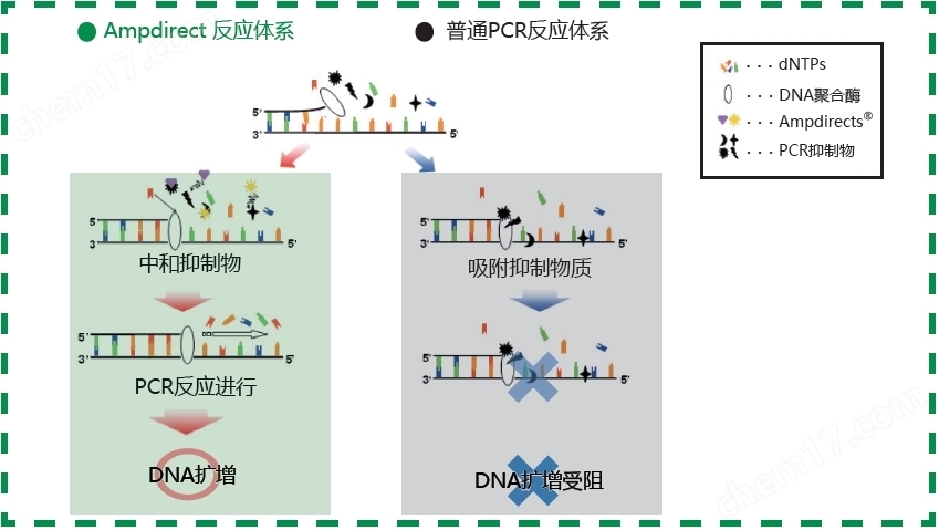 新型PCR 扩增缓冲液缓冲液-Wako富士胶片和光