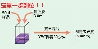 蛋白质快速测定试剂盒Wako II蛋白研究-wako富士胶片和光