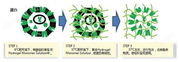 VA-044（聚合物引发剂）一般化学试剂-Wako富士胶片和光