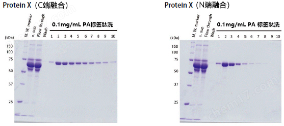 重组蛋白纯化系统Target tag/PA tag​生物试剂-Wako富士胶片和光