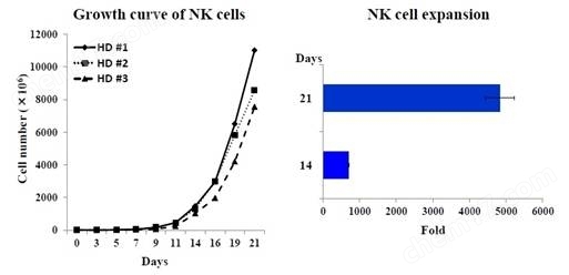 BINKIT&#174; NK细胞扩增试剂盒试剂盒-Wako富士胶片和光