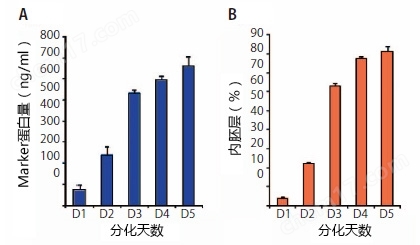 内胚层监测试剂盒细胞培养-Wako富士胶片和光