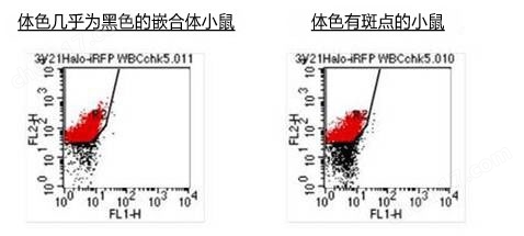 ES细胞・iPS细胞培养用血清代替品一般化学试剂-Wako富士胶片和光