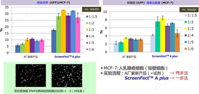 ScreenFect&trade; A plus试剂盒-Wako富士胶片和光