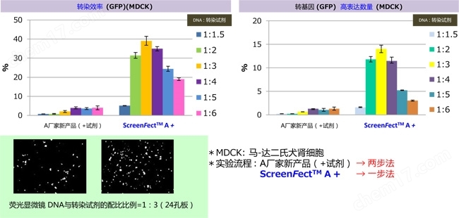 ScreenFect&trade; A plus试剂盒-Wako富士胶片和光