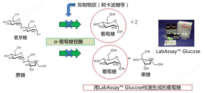 α-葡萄糖苷酶活性抑制检测试剂盒转染试剂-Wako富士胶片和光