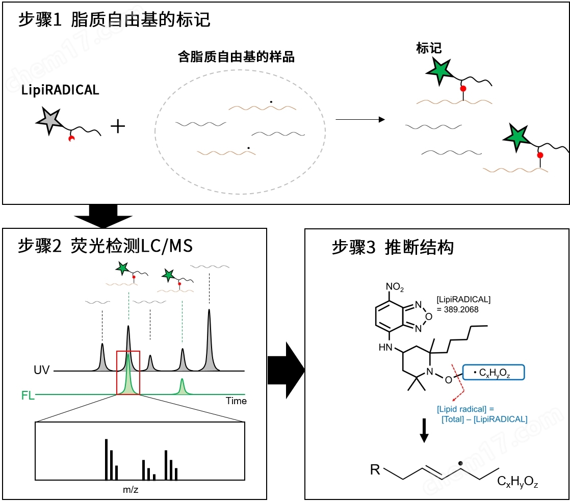 磷酸化蛋白提取,磷酸化蛋白提取介绍-Wako富士胶片和光