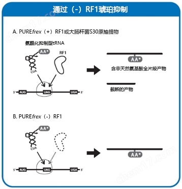 水质检测分析仪器,水质检测分析仪器工作原理-Wako富士胶片和光