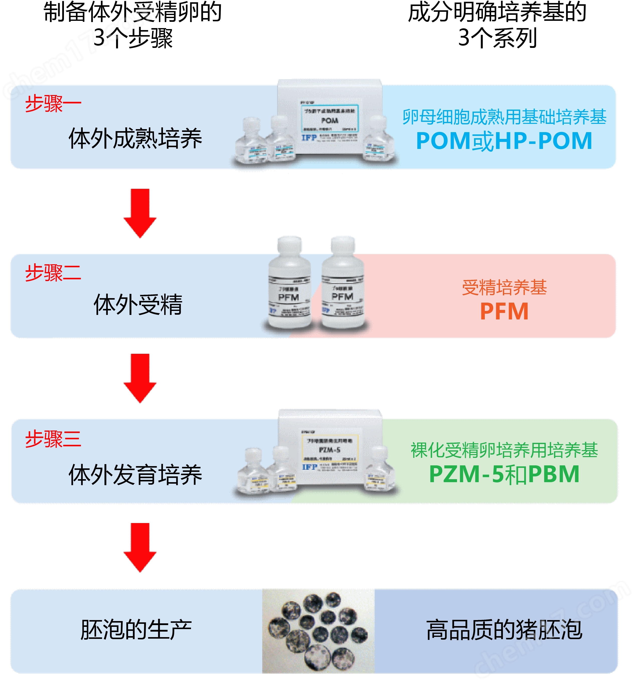 猪体外受精卵（胚胎）制备 培养基系列细胞培养-Wako富士胶片和光