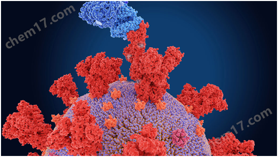 SARS-COV-2中和抗体检测试剂盒疾病研究-Wako富士胶片和光