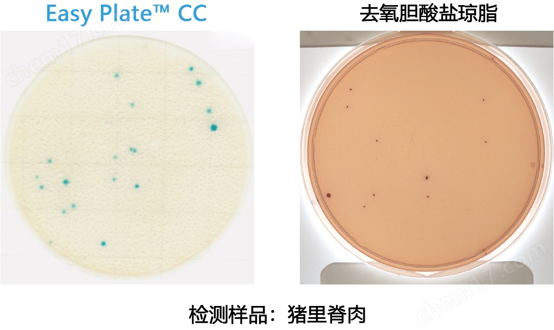 大肠菌群测试片（原Medi•Ca CC）培养基-Wako富士胶片和光